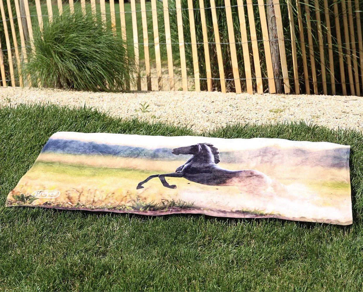 Quarter Horse Beach & Bath Towel