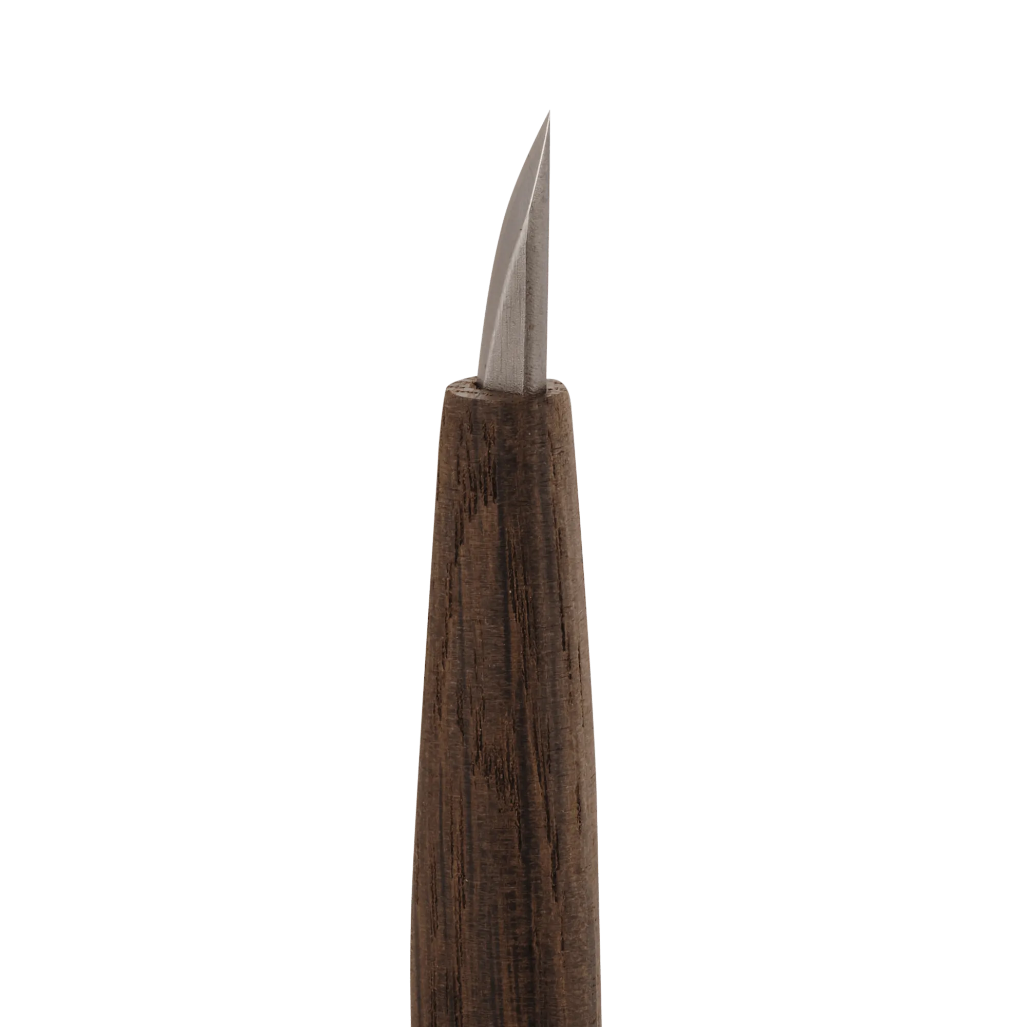 Short Single-Bevel Carving Knife - Curved Edge